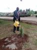 Mr. Peter Gathuka water a tree he planted