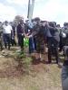 Prof. Stephen Kiama water tree he planted